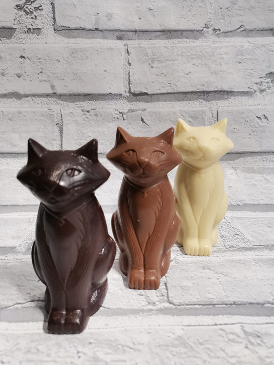 Cat image 0